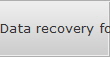 Data recovery for Ramsey data